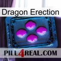 Dragon Erection 04